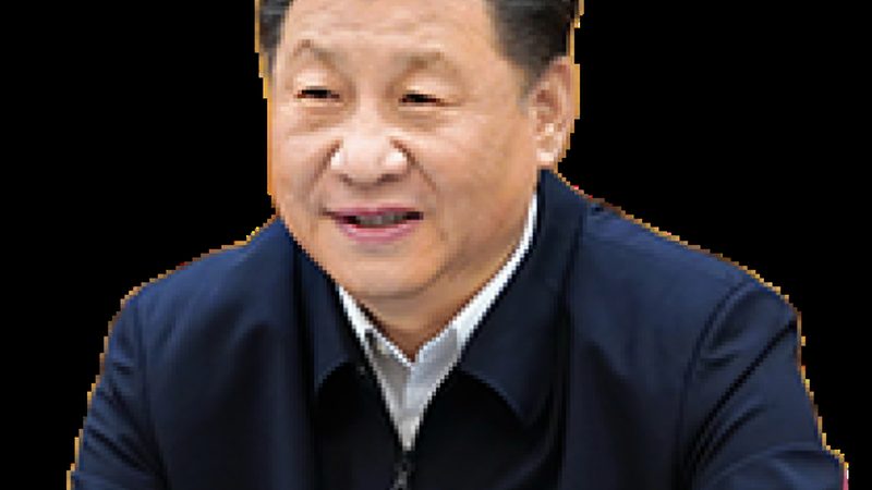 高分子材料加盟代理：如何选择十大品牌**